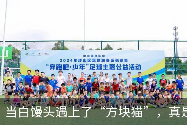 当白馒头遇上了“方块猫”，真是让人捧腹不已！