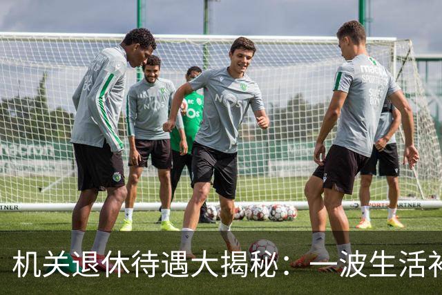 机关退休待遇大揭秘：一波生活补贴的故事