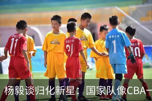 杨毅谈归化新星：国家队像CBA一样迎来春天