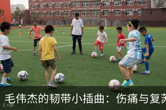 毛伟杰的韧带小插曲：伤痛与复苏的幽默旅程