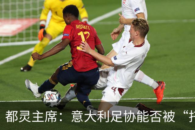 都灵主席：意大利足协能否被“托管”？马拉戈的68%票数有玄机